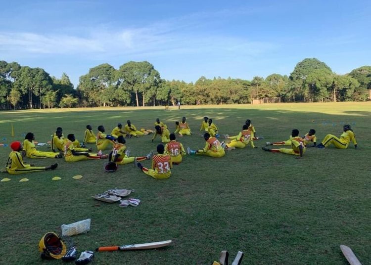 Cricket: U-19 cricket team commence World Cup preparations.