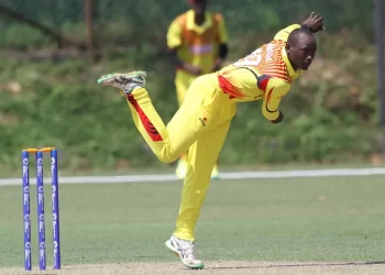 Cricket Cranes hope sour pill provides antidote