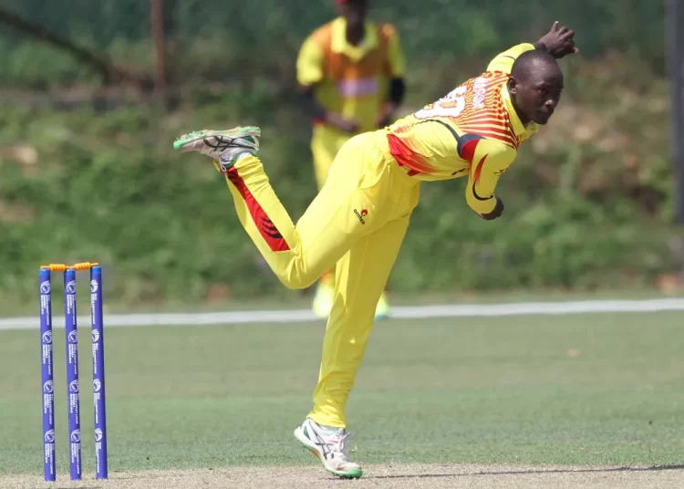 Cricket Cranes hope sour pill provides antidote