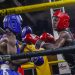 Game week five Review in Uganda Boxing Champions League