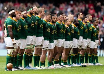 Springboks  Destiny Already Written