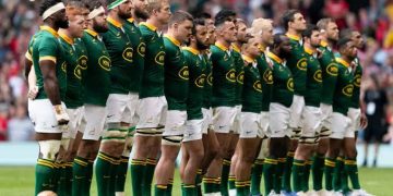 Springboks  Destiny Already Written