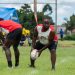 King’s Park Arena to Host Fans Easter Rugby Tournament