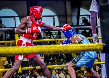 Zebra Boxing Club Prepares for Champions League National Open Season 3