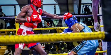 Zebra Boxing Club Prepares for Champions League National Open Season 3