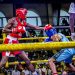 Zebra Boxing Club Prepares for Champions League National Open Season 3