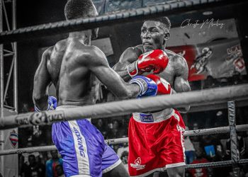 Preparations in High Gear for the 2024 Boxing National Open