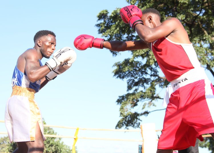 National Boxing Open Championship Kicks Off