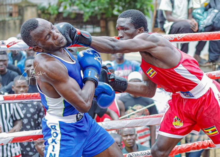 2024 National Boxing Open Culminates in High-Stakes Showdown