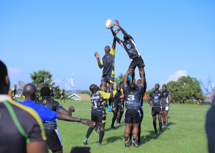 Preview: Pirates Face Rhinos, while Buffaloes Clash with Hippos in Rugby Playoffs
