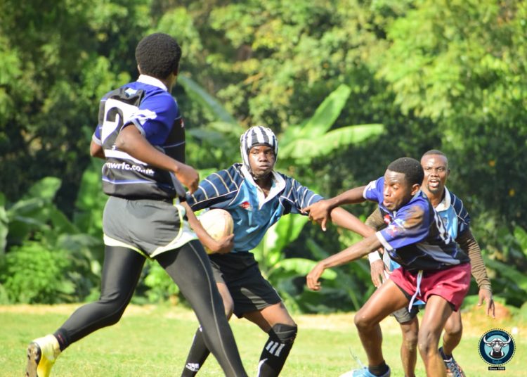 Kyambogo Seek Revenge Against Sharks as Central Uganda Rugby League Reaches Climax