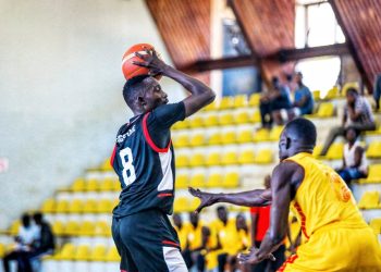 NBL Teams Battle to Avoid Relegation as Playoffs Approach