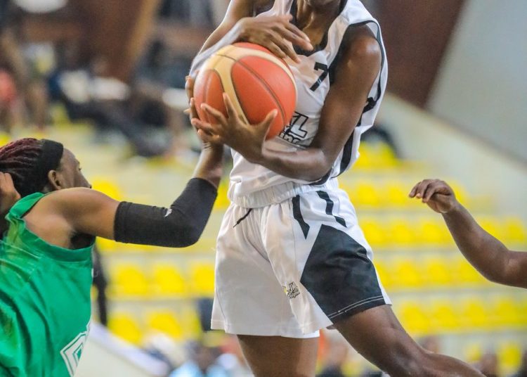 Dolphins Deliver Commanding Performance Against Tomahawks