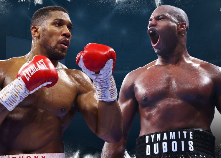 Battle Of The Britons: Joshua and Dubois Collide for IBF Title at Wembley