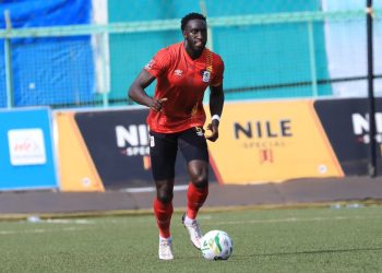 Cyprus: A New Home For Cranes Defender