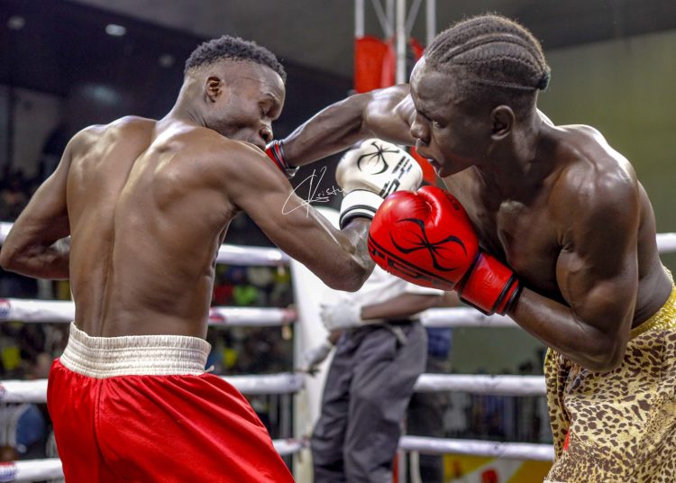 Raskara Paul Triumphs in Boxing Champions League Return