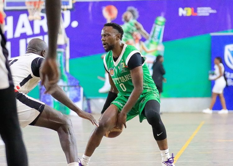 NBL Playoffs: Another Shot At City Oilers For Titans
