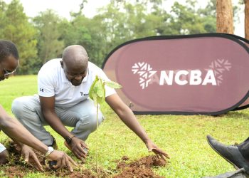 NCBA Bank Golf Series Make Green Impact at Jinja Golf Course