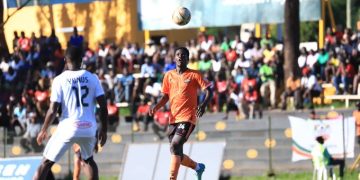 NEC Eye First Vipers Win