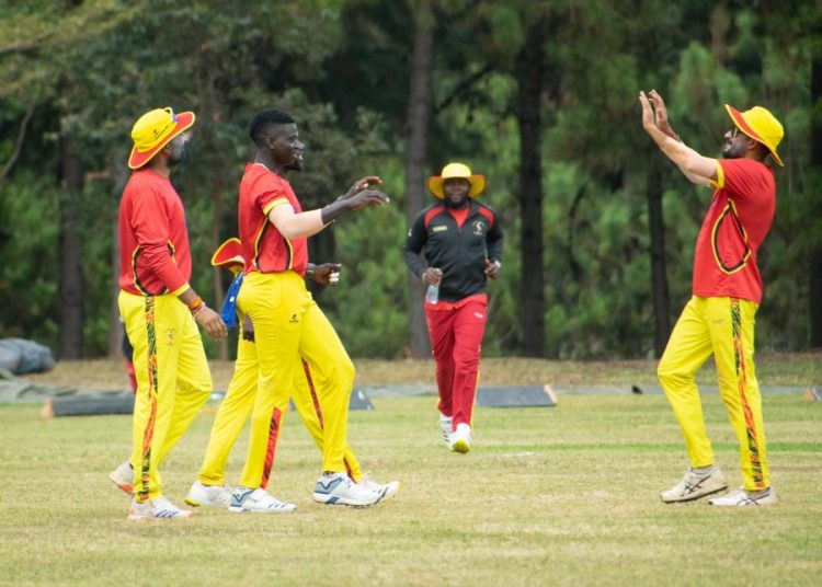 Cricket Cranes Level Series with Papua New Guinea in Finale