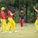 Cricket Cranes Level Series with Papua New Guinea in Finale