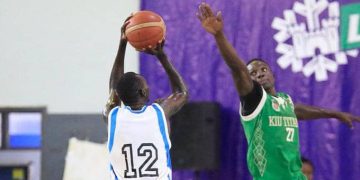 NBL Playoffs: Oilers Stretch Series Lead As Dolphins Pull One Back