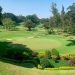 Uganda’s Tee-Off into Global Golf Tourism with Visit Uganda Golf