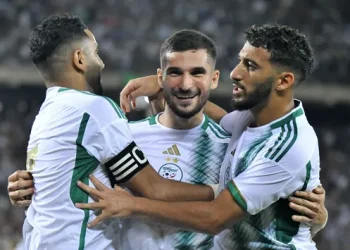Algeria Secures Morocco 2025 Ticket, Namibia Suffers Defeat