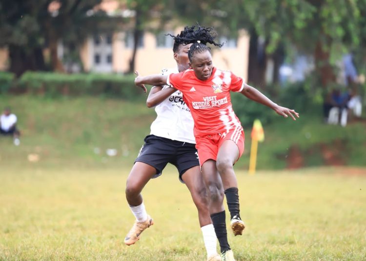 She Corporate Draw as Fan Discontent Grows