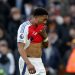 Arsenal Hope to Overturn Lewis-Skelly Red Card