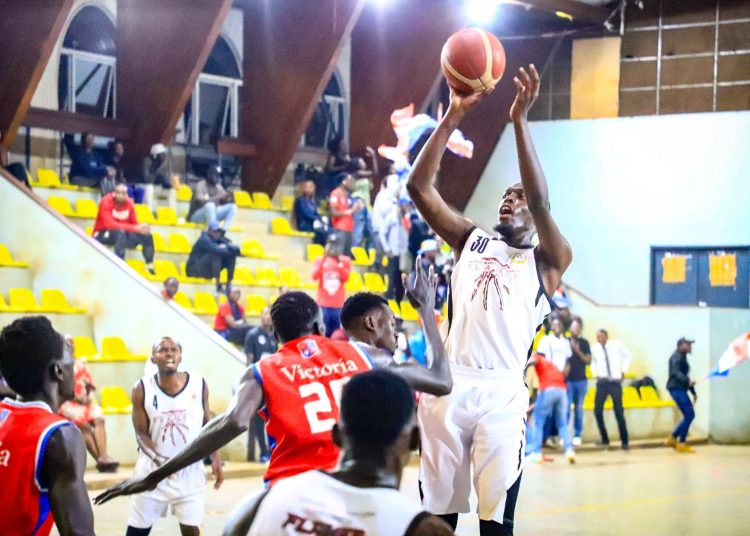Victoria University Crocs Earn NBL Promotion, Coach Praises Team Unity