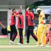 Cricket Cranes Fall Short as Hong Kong Clinches Tri-Series Title