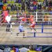 Uganda to Battle for WBC Amateur Boxing World Cup Spot in Nigeria