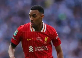 Gravenberch Out of Netherlands Squad for Nations League Quarter-Finals