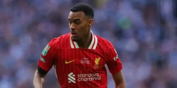 Gravenberch Out of Netherlands Squad for Nations League Quarter-Finals