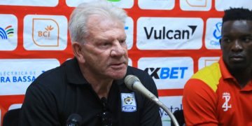 Put: Cranes Understand the Importance of Mozambique Game