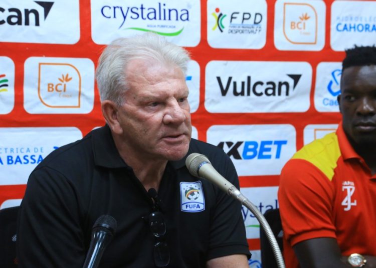 Put: Cranes Understand the Importance of Mozambique Game