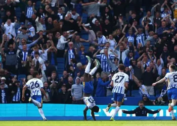 Baleba Stunner Seals Brighton Thriller