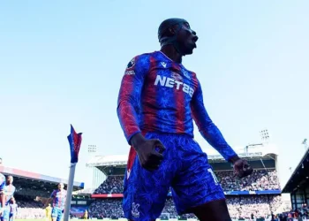 Crystal Palace Prevail in Fiery Selhurst Park Clash with Brighton