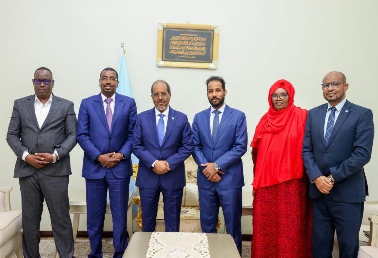 FIFA, CAF Rep Meets Somali President