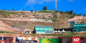 50,000 Runners Expected as Coffee Marathon Kicks Off in Rwashamaire