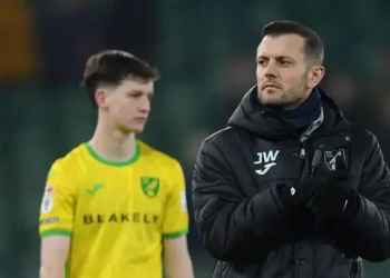 Wilshere to Exit Norwich After Being Passed Over for Manager Role