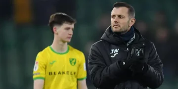 Wilshere to Exit Norwich After Being Passed Over for Manager Role