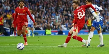 Brighton Stuns Champions Liverpool with Dramatic Comeback
