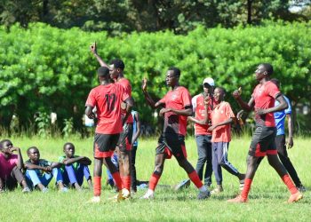 Big League Dreams at Stake as Northern Regional Playoffs Hit Final Stage