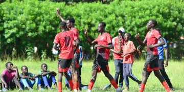 Big League Dreams at Stake as Northern Regional Playoffs Hit Final Stage