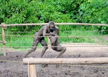 From Mud to Millions: Uganda’s Soft Ground Wrestling Goes Global