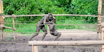 From Mud to Millions: Uganda’s Soft Ground Wrestling Goes Global