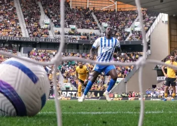 Brighton Edge Closer to Europe with Wolves Win