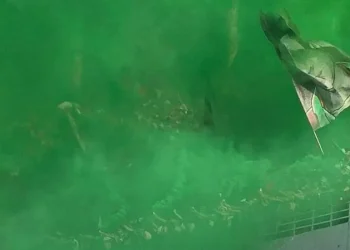 Tragedy Strikes Algiers Stadium as Title Celebrations Turn Fatal